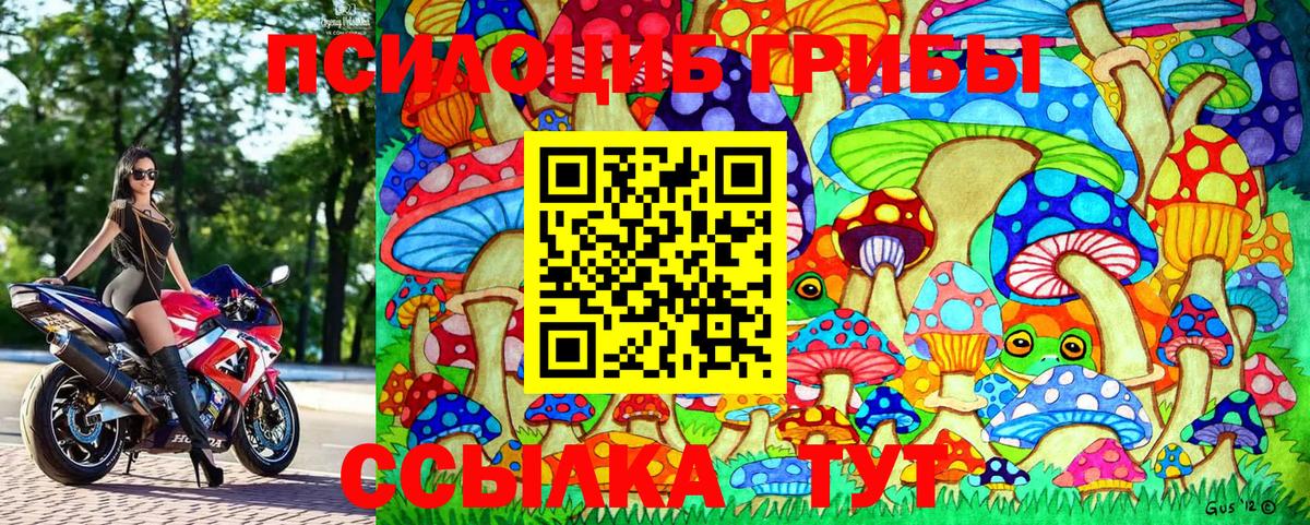Галлюциногенные грибы Cubensis Сердобск